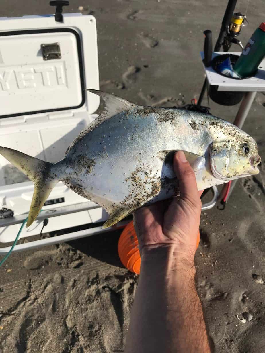 What Size Hook to Use for Pompano in the Surf? Tight Lines and High Tides