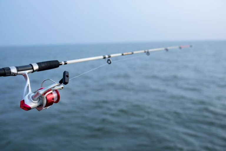 how-to-choose-the-right-gear-ratio-for-your-fishing-reel-tight-lines