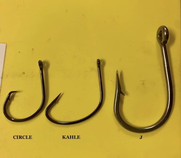 Best Hooks for Surf Fishing A Complete Guide Tight Lines and High Tides