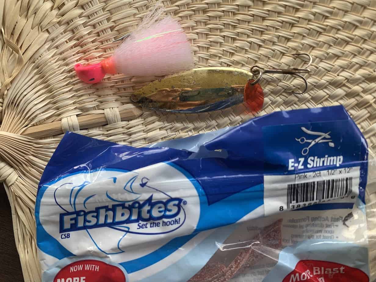 What is the Best Bait for Surf Fishing?