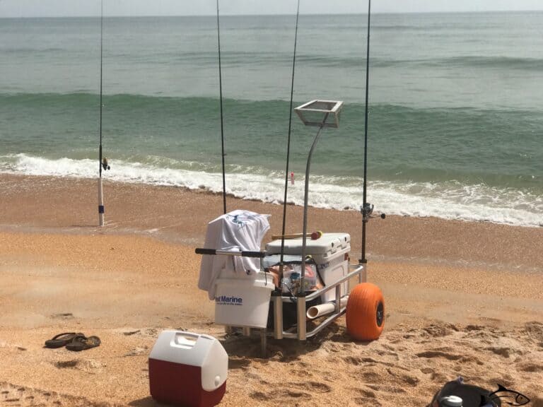 Surf Fishing Light TackleRods, Reels, Lines & Lures Tight Lines and