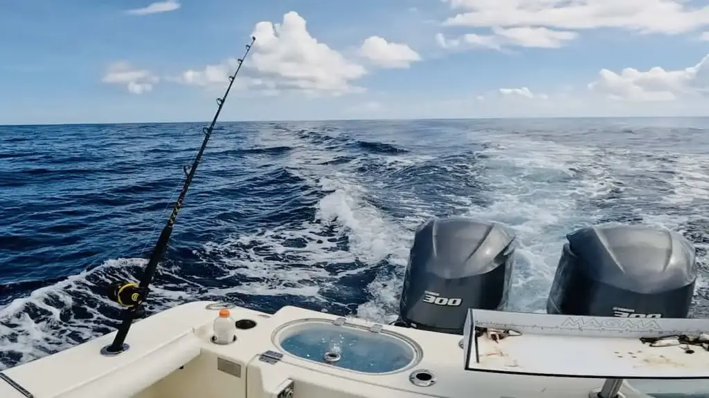 Trolling Depth & Line Length – Tight Lines and High Tides